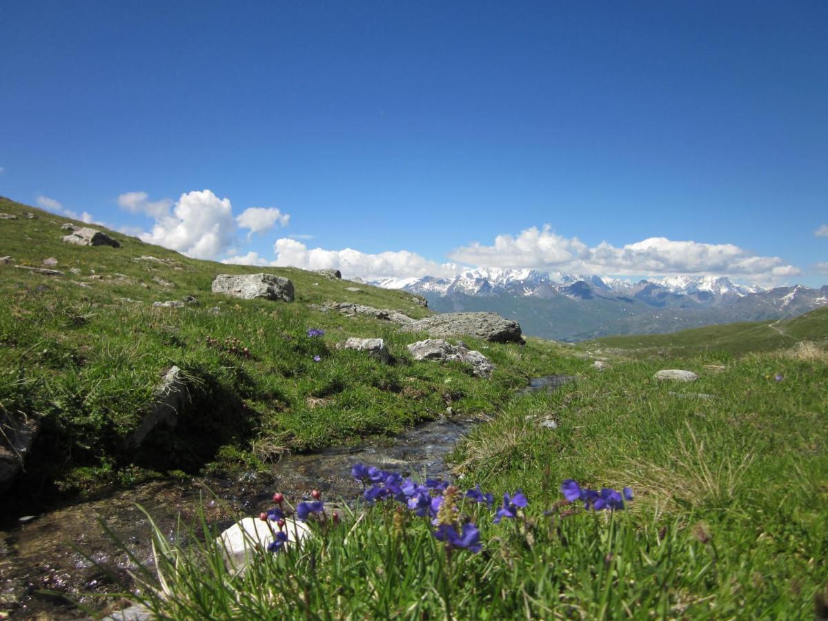 Grande Marmotte, Ski Aux Pieds, Le Refuge Du Montagnard, Arc 1950 Бур-Сен-Морис Экстерьер фото